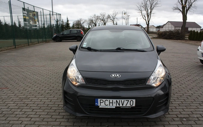 Kia Rio cena 35900 przebieg: 50765, rok produkcji 2016 z Węgliniec małe 106